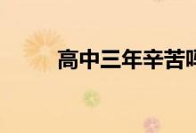 高中三年辛苦吗？会很快过去吗？