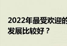 2022年最受欢迎的设计师有哪些？哪些方面发展比较好？