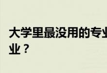 大学里最没用的专业是什么？冒险岛是什么专业？