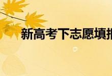 新高考下志愿填报和录取有哪些变化？