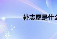 补志愿是什么意思？怎么填？