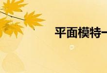 平面模特一般收入多少？