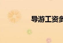 导游工资多少 待遇如何？