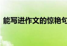 能写进作文的惊艳句子 适合摘抄的神仙段子