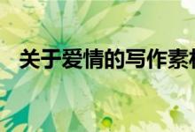 关于爱情的写作素材 关于爱情的写作素材