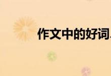 作文中的好词、好句、好段节选