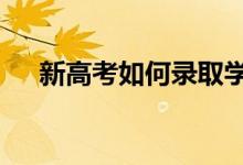 新高考如何录取学生:平行志愿录取规则