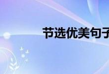 节选优美句子和优秀句子满分