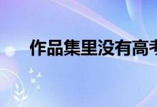 作品集里没有高考志愿表有什么影响？