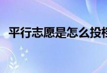 平行志愿是怎么投档的？它要填什么技能？