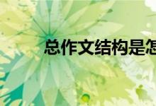 总作文结构是怎样的 应该怎么写？