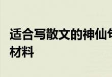 适合写散文的神仙句子；写作文必备的好句子材料