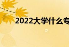 2022大学什么专业简单好学有前途？