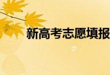 新高考志愿填报的基本模式是什么？
