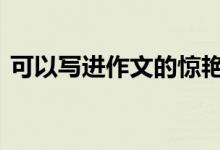 可以写进作文的惊艳句子 作文中的漂亮句子