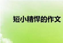 短小精悍的作文 节选开头的精致作文
