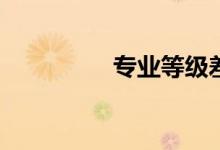 专业等级差是什么意思？