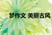 梦作文 美丽古风 高考开始 梦作文范文
