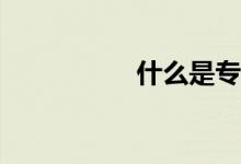 什么是专业平行志愿？