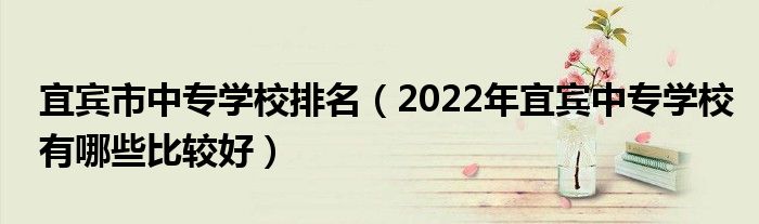 宜宾市中专学校排名（2022年宜宾中专学校有哪些比较好）(图1)