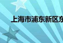 上海市浦东新区东城幼儿园的地址在哪