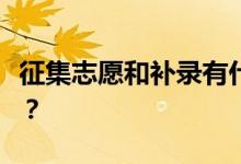 征集志愿和补录有什么区别？两者有什么区别？