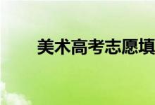 美术高考志愿填报指南有哪些技巧？