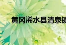 黄冈浠水县清泉镇中心中学的地址在哪