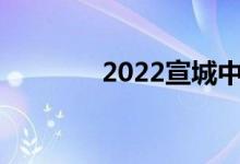 2022宣城中考成绩查询入口