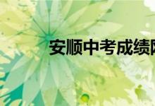 安顺中考成绩网上查询门户2022