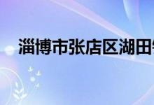 淄博市张店区湖田镇第二小学的地址在哪
