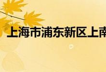 上海市浦东新区上南九村幼儿园的地址在哪