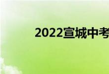 2022宣城中考成绩查询网站入口