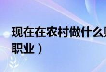 现在在农村做什么赚钱（农村9个比较赚钱的职业）