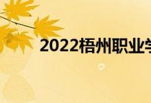 2022梧州职业学院单招专业及计划
