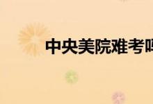 中央美院难考吗？如何成功落地？