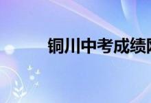 铜川中考成绩网上查询门户2022
