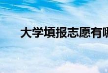 大学填报志愿有哪些技巧和注意事项？