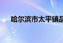 哈尔滨市太平镇品贞小学校的地址在哪