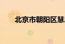 北京市朝阳区慧忠里小学的地址在哪