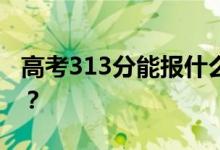高考313分能报什么？313分可以上哪些院校？