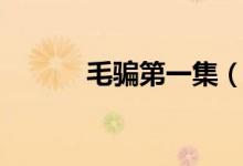 毛骗第一集(毛骗第一季解说)