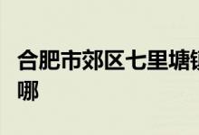 合肥市郊区七里塘镇七里塘村幼儿园的地址在哪