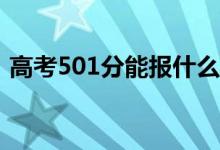 高考501分能报什么？501可以上哪些院校？