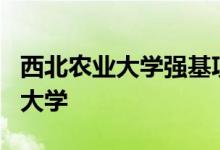 西北农业大学强基项目申请人数；2022年的f大学