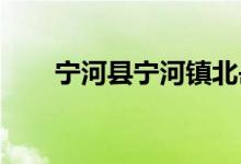 宁河县宁河镇北岳庄小学的地址在哪