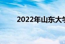 2022年山东大学强基计划申请人数
