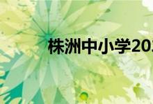 株洲中小学2022年暑期开学时间