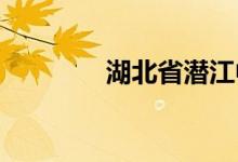 湖北省潜江中学的地址在哪