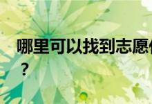 哪里可以找到志愿代码查询2022的专业代码？